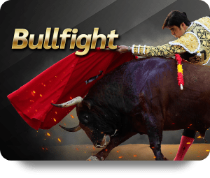 Bull Fight